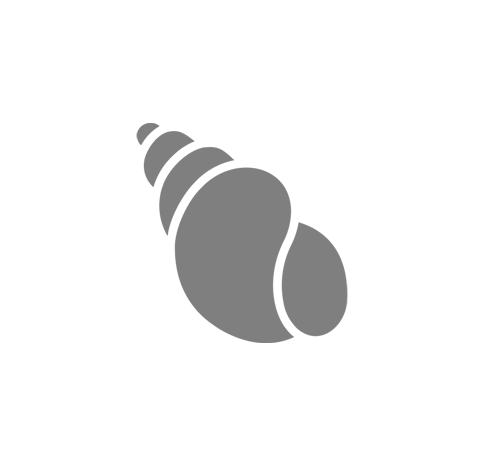 Graphic & 
Ux/Ui Designer